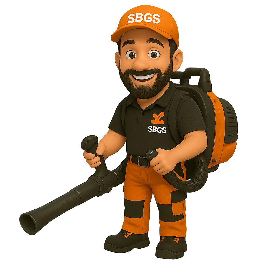 Home Our tidy up services