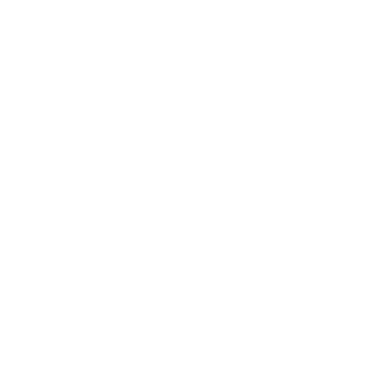 YouTube icon